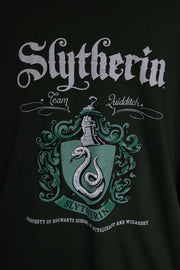Daisy Street Licensed Relaxed T-Shirt With Harry Potter 'Slytherin' Crest Print