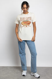 Daisy Street Relaxed T-Shirt with Grand Canyon Print